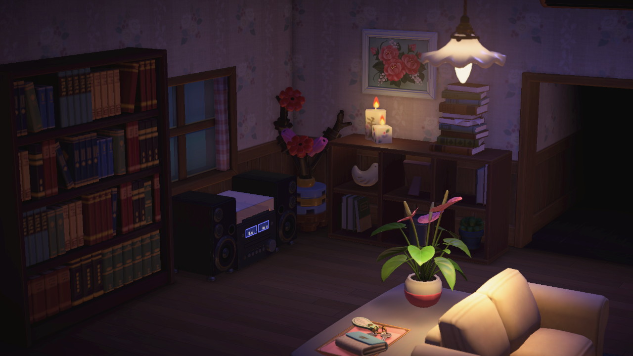 Interior de mi casa: a oscuras, un equipo de música y una biblioteca