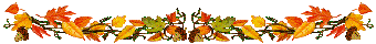 autumn divider