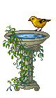 Bird in water fountain