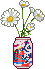 flower in a can