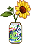 flower in a can