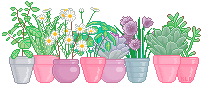 plants