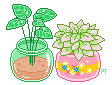 plants